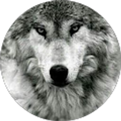 Profile photo of Katrina