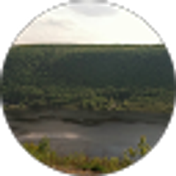 Profile photo of Renee LaPine