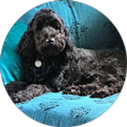Profile photo of Gary Skeen