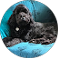 Profile photo of Gary Skeen
