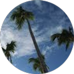 Profile photo of Sam