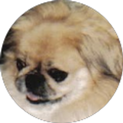 Profile photo of Betsy Brewer