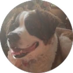 Profile photo of Joseph Martin