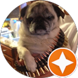 Profile photo of Alex A