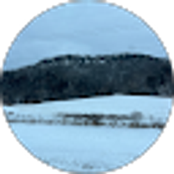 Profile photo of Bustarella Bunny