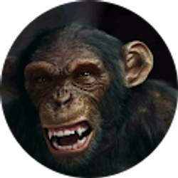 Profile photo of Zeus Thunder