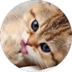 Profile photo of Rachel Hankins