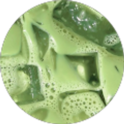 Profile photo of Faith Anderson