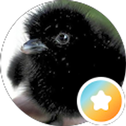 Profile photo of BriarDan “BriarDan”