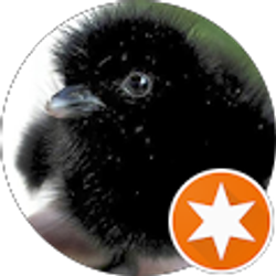 Profile photo of BriarDan “BriarDan”