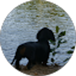 Profile photo of Vicki Toye