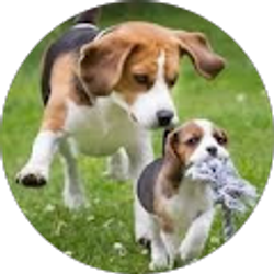 Profile photo of Nancy Holway-Thayer