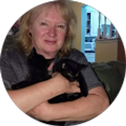 Profile photo of Susan OHara