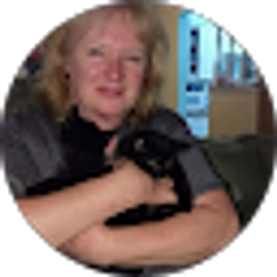 Profile photo of Susan OHara