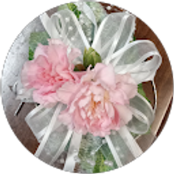 Profile photo of Renee Stanley