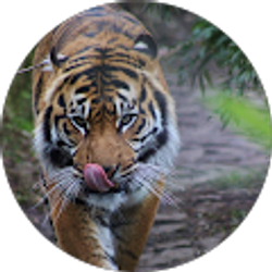 Profile photo of Aisha Smith