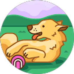 Profile photo of MSF MSF