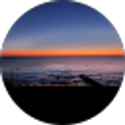 Profile photo of M Smith