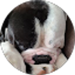 Profile photo of Sheila Griffith