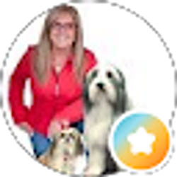 Profile photo of Sheryl Marsella