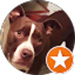 Profile photo of Nikki Gonzalez