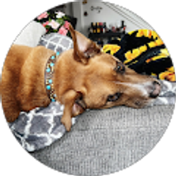 Profile photo of ivan Kucera