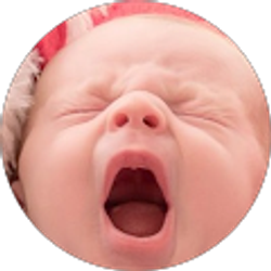 Profile photo of B Polit