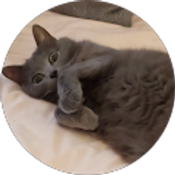 Profile photo of Susannah