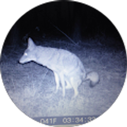 Profile photo of Doug Williams