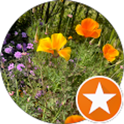 Profile photo of Zully