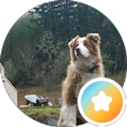 Profile photo of Natasha _utter_ (Natali)