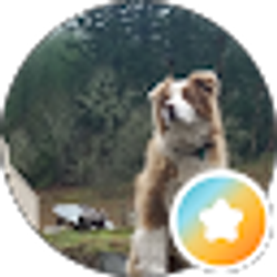 Profile photo of Natasha _utter_ (Natali)