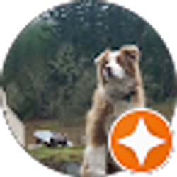 Profile photo of Natasha _utter_ (Natali)