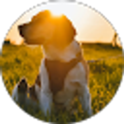 Profile photo of R K