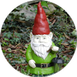 Profile photo of Joe D