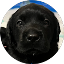 Profile photo of Lauren Folland