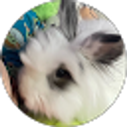 Profile photo of me Medina