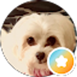 Profile photo of Odalis Sijin