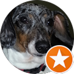 Profile photo of Patti Legg