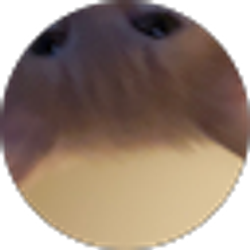 Profile photo of Angel
