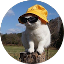 Profile photo of Mimi