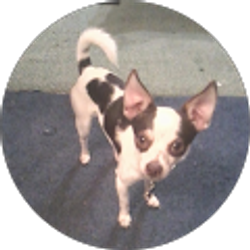 Profile photo of Benita Grim