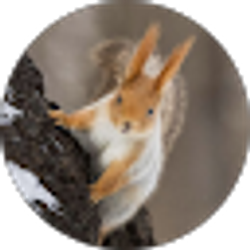 Profile photo of Dianne Wilke