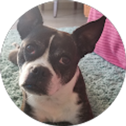 Profile photo of Trauma Workshop Reviews