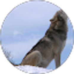 Profile photo of zane maffett