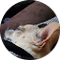 Profile photo of Shelley Felice