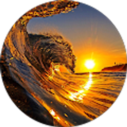 Profile photo of Deb McKelvey