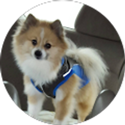 Profile photo of María D Alvarado Bolivar