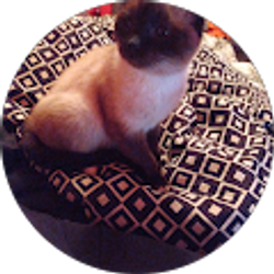 Profile photo of Lakeisha Harris