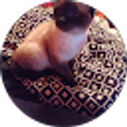 Profile photo of Lakeisha Harris